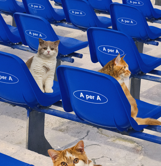 |A per A| AD APA Blue Stand 3 Cat Hard Case
