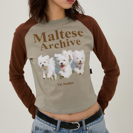 |Wai Kei| Maltese Archive Raglan Long Sleeve T-Shirt Mint