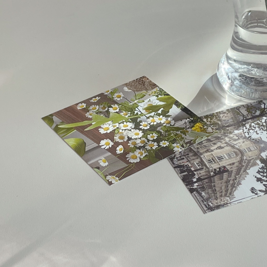 ｜zoeybrown｜ Vintage Paper Set: E