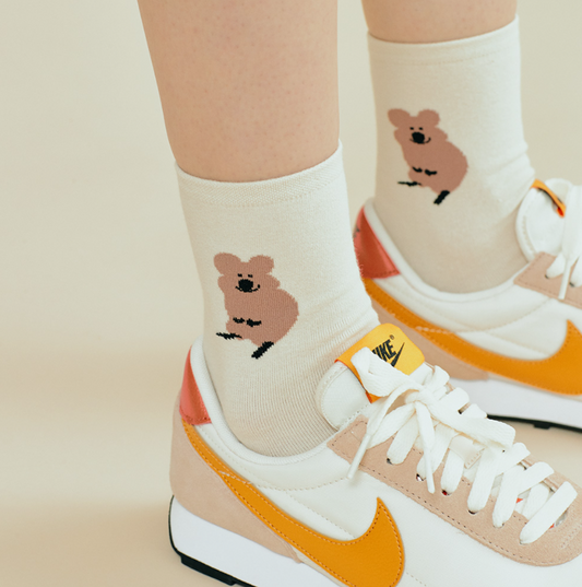 ｜Sockstaz X Dinotaeng｜ Quokka Socks