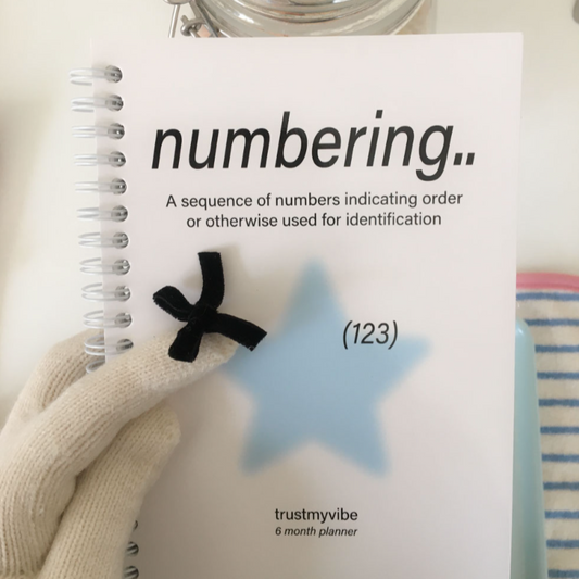 ｜TRUST MY VIBE｜ Numbering 6 Month Planner (Spring)