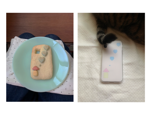 ｜1081｜ h o m e - s t r i p e Jelly Hard Case