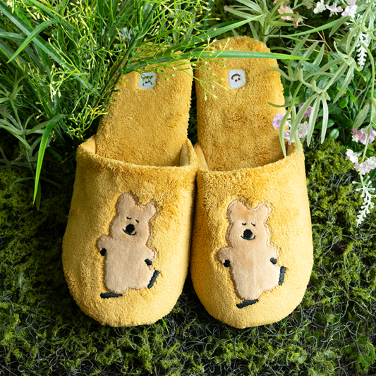 ｜Dinotaeng｜ Happy Quokka Slippers
