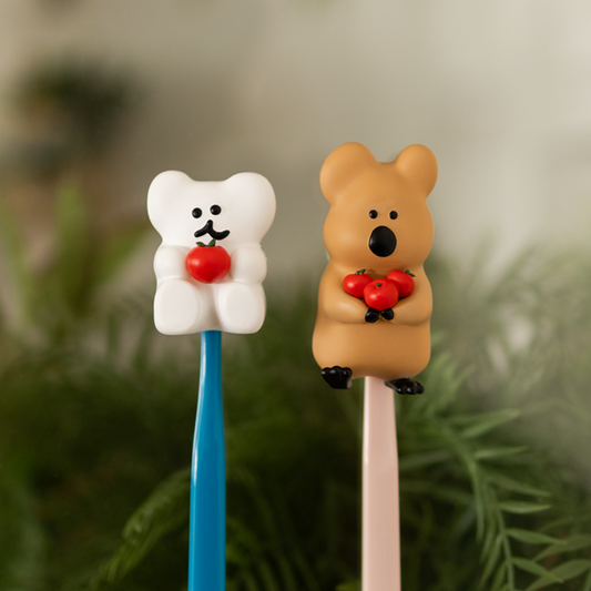 ｜Dinotaeng｜ Apple Apple Toothbrush Holder