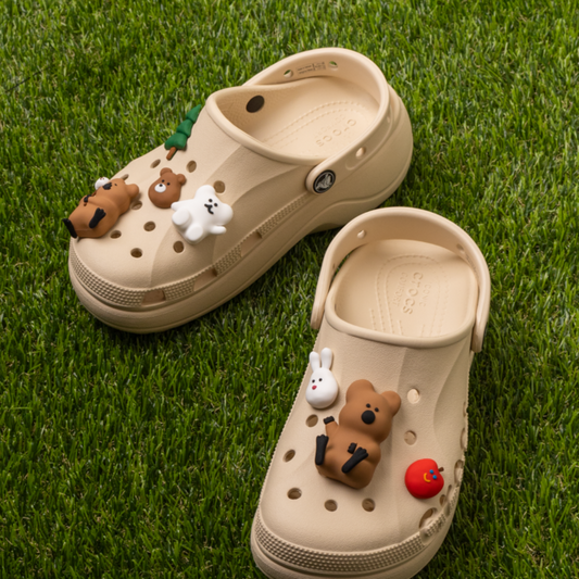｜Dinotaeng｜  Clog Buttonz Shoe Charms Set