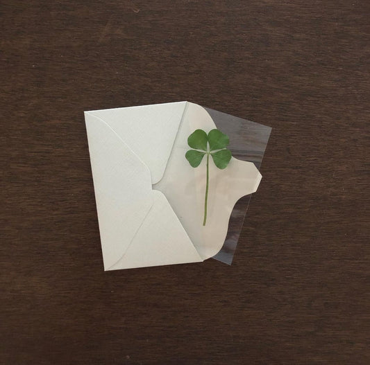 ｜期間限定｜ 四葉草幸運卡 Four-leaf Clover Card